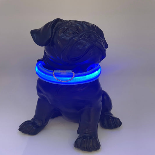 Shine Rechargeable dog collar