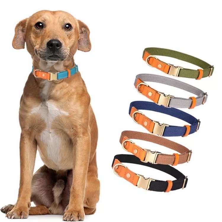 Tufft hundhalsband med läderdetaljer  i flera färger - Classique