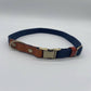 Classique stylish dog collar with leather details