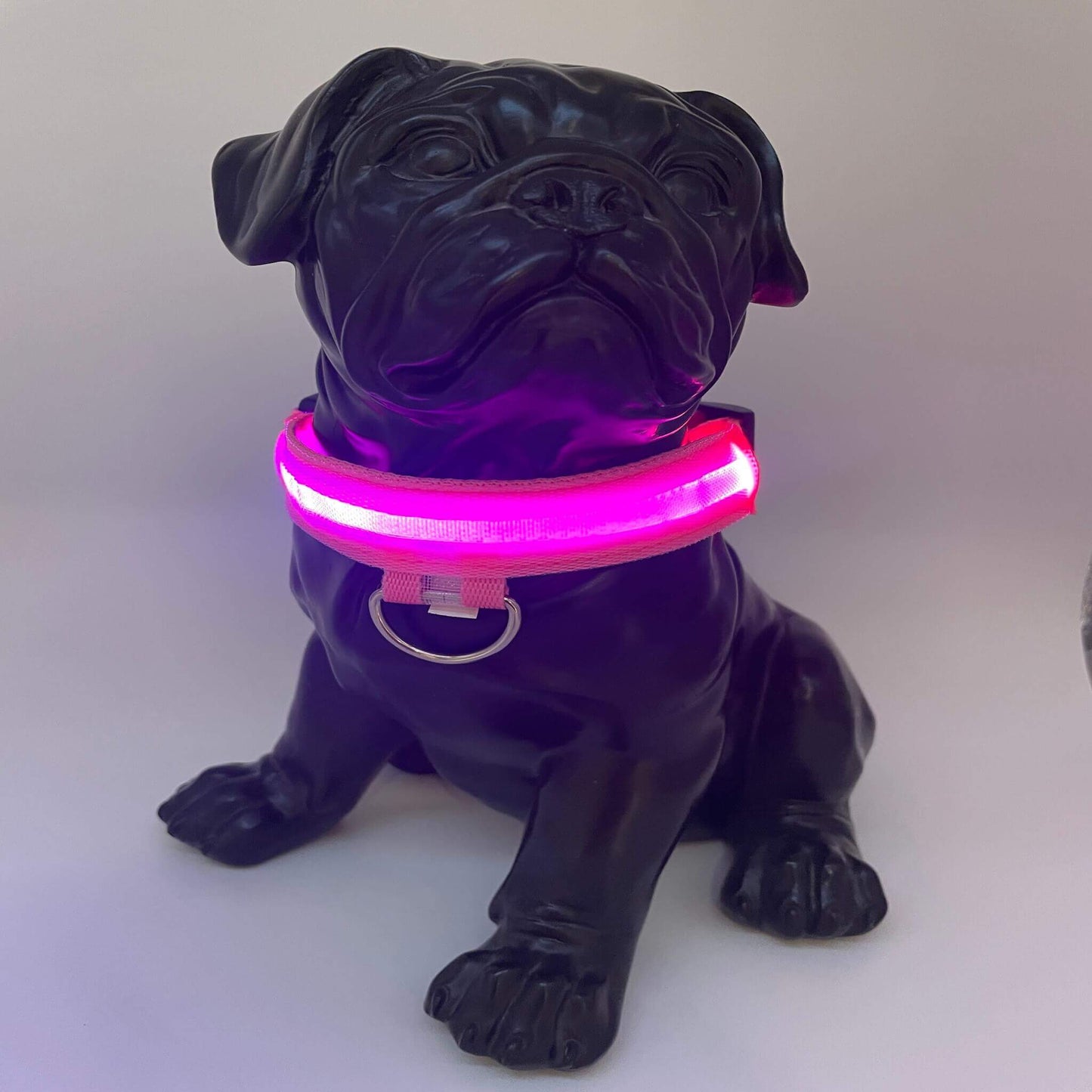 Uppladdningsbart  hundhalsband LED  - Shine